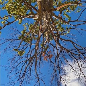 Meet your Posher, Kylie